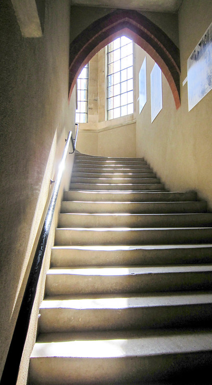 📷: Suzanne Chapman