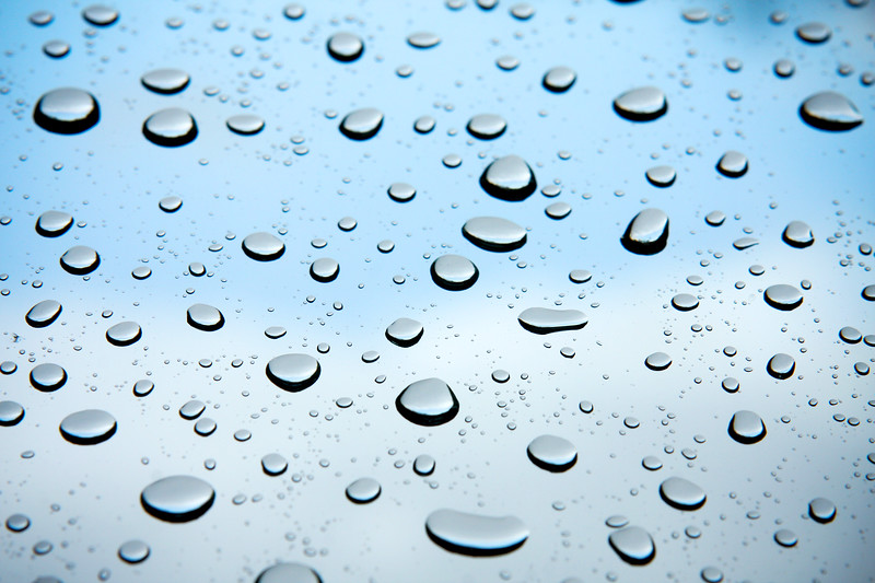 📷: Chris M. Moore