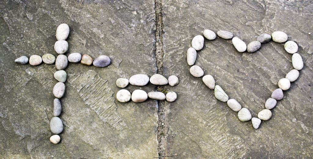 📷: Suzanne Chapman