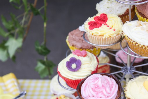 freely-10031_preview