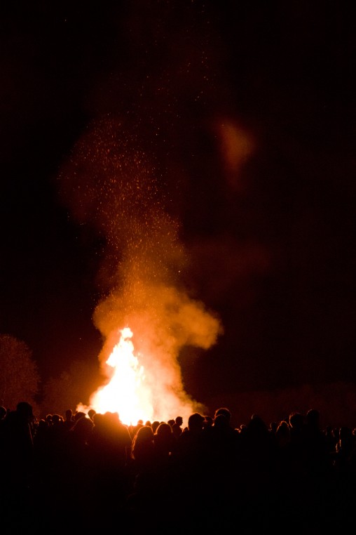 freely-10047_preview