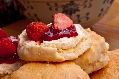 freely-10071-preview