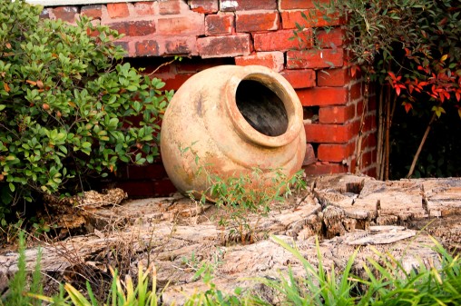 freely-10075-preview