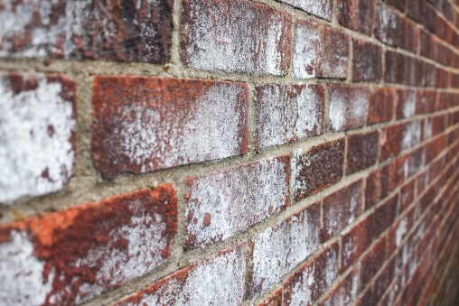 freely-10089-preview