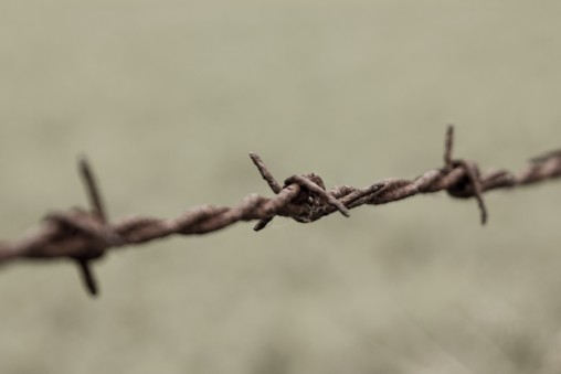 freely-10093-preview