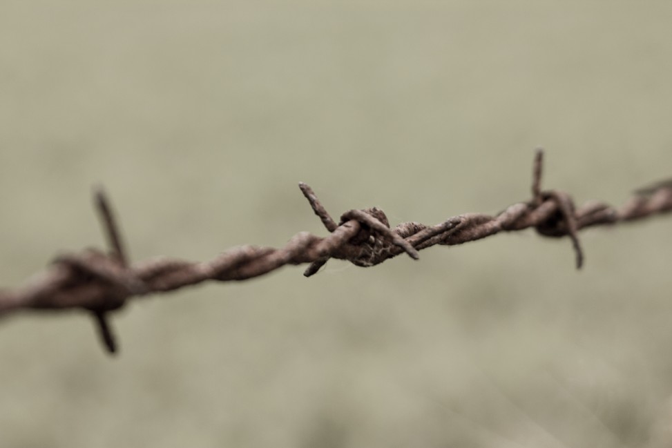 freely-10093-preview