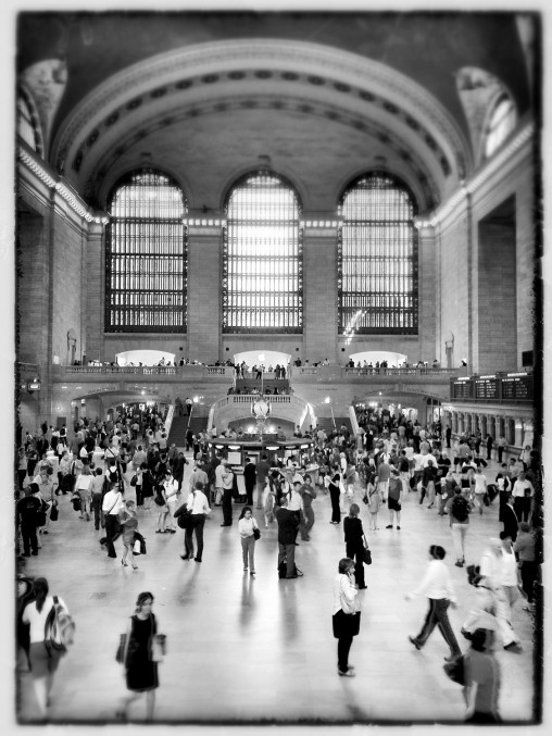 freely-10112-preview