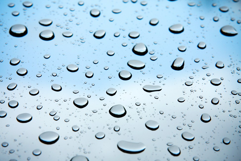 freely-10113-preview