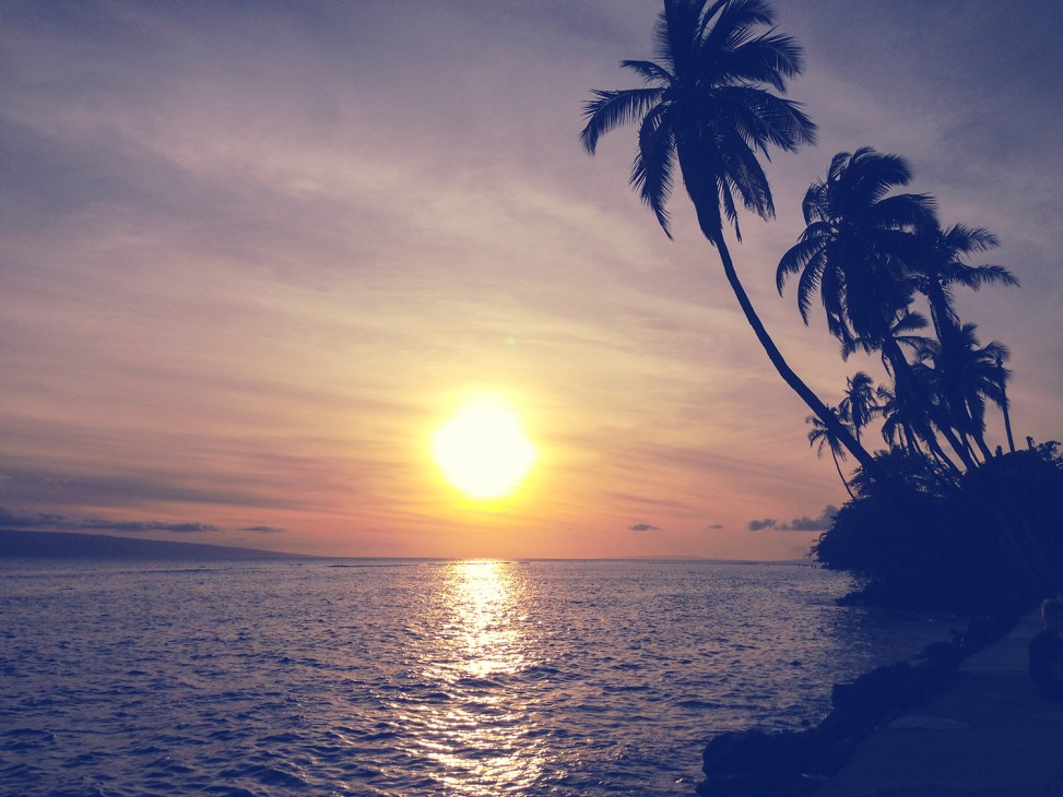 freely-10114-preview