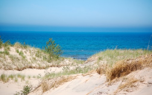 freely-10117-preview