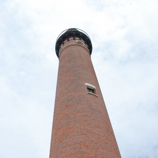 freely-10119-preview