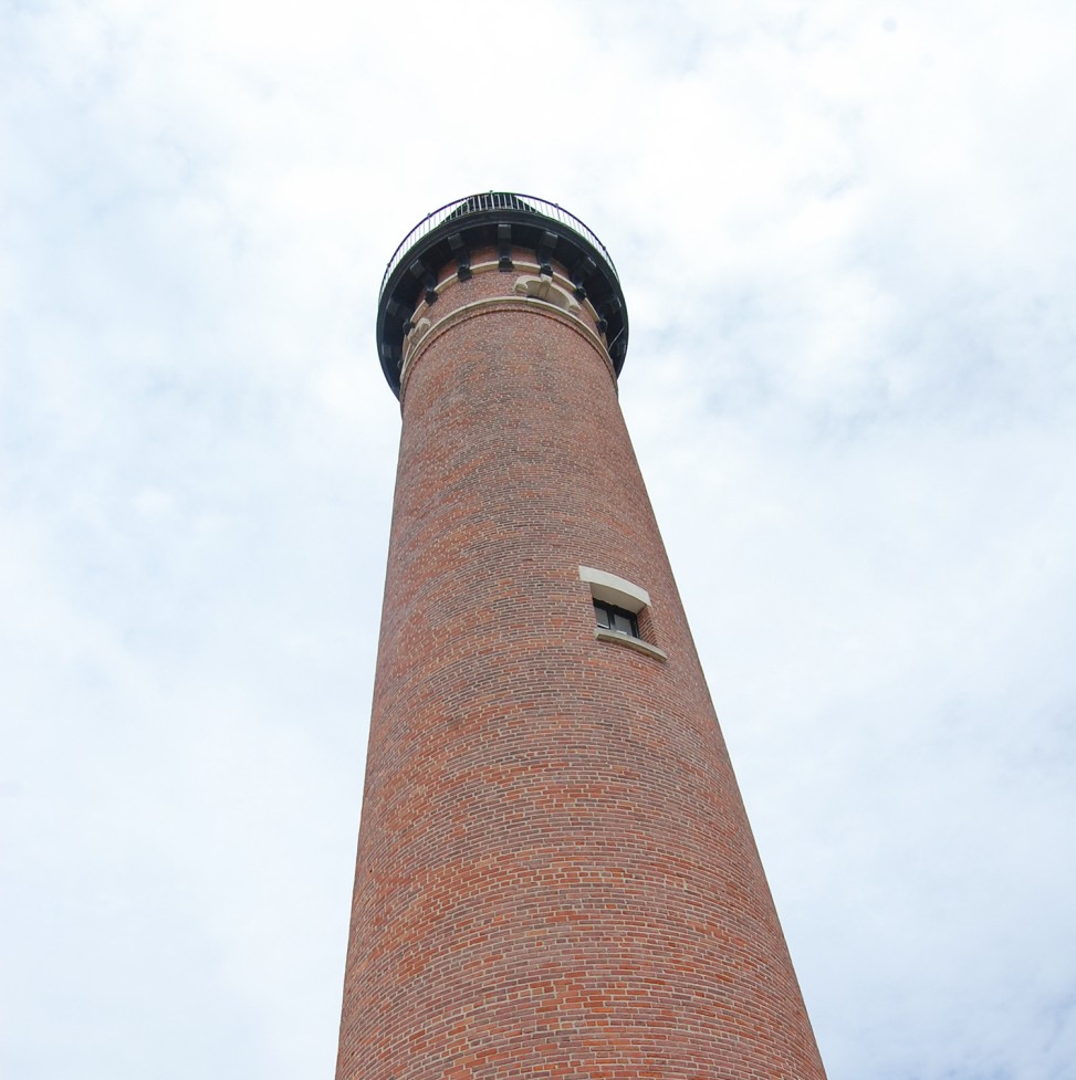 freely-10119-preview