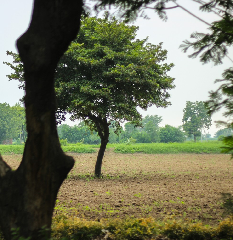 freely-10138-preview