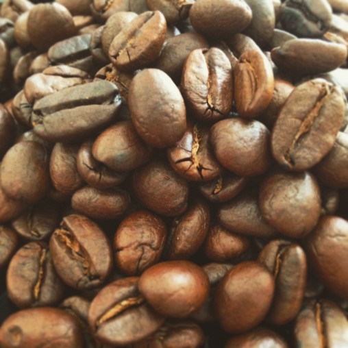 freely-10141-preview