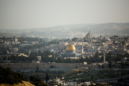 freely-10163-preview