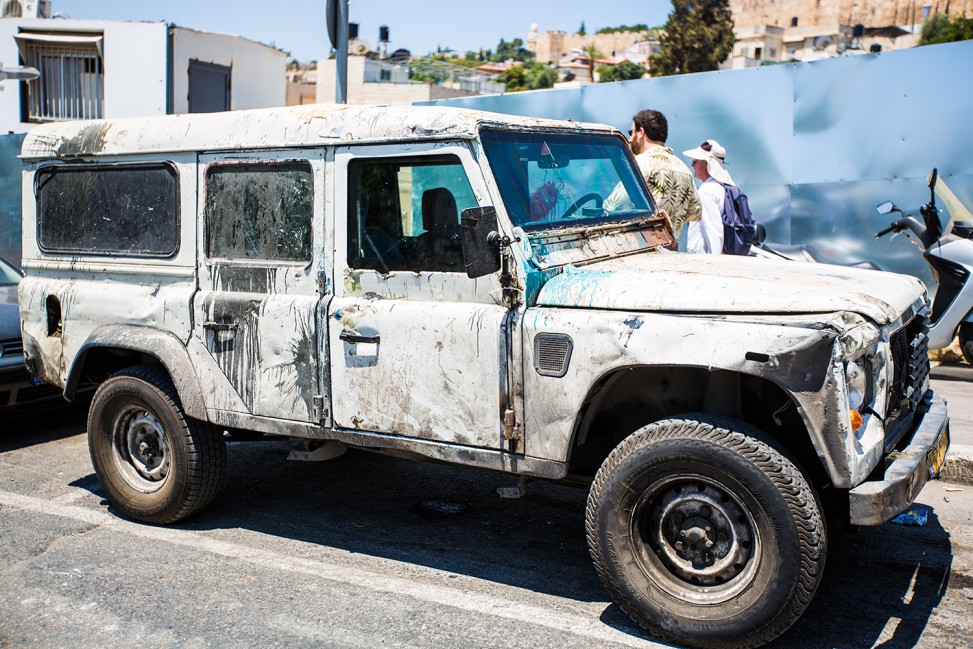 freely-10168-preview