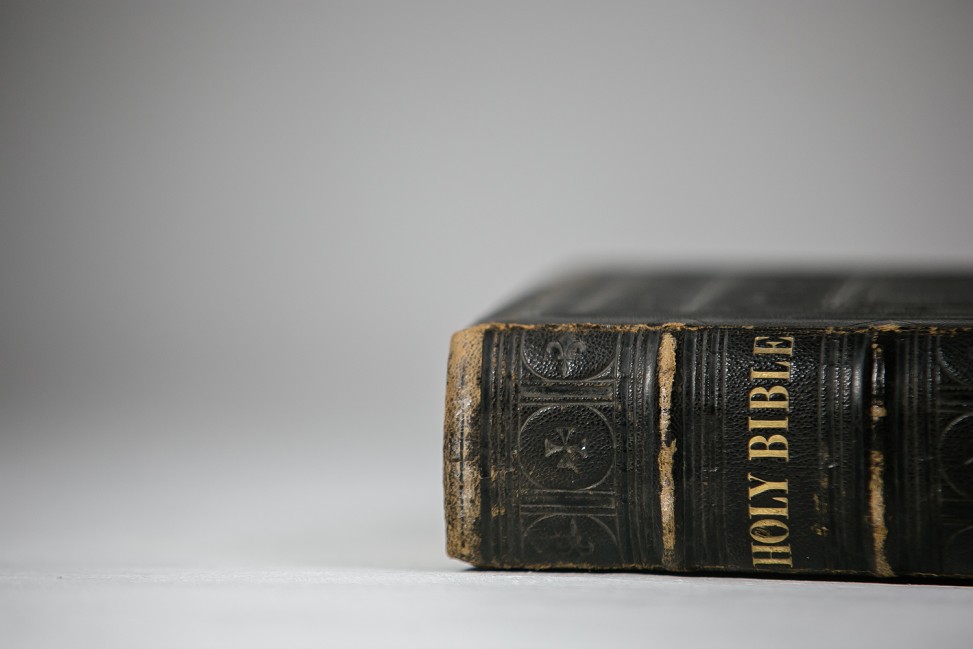 freely-10173-preview