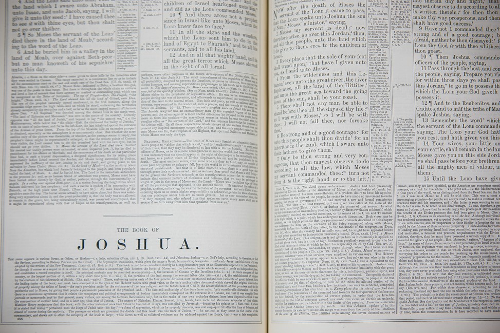 freely-10174-preview