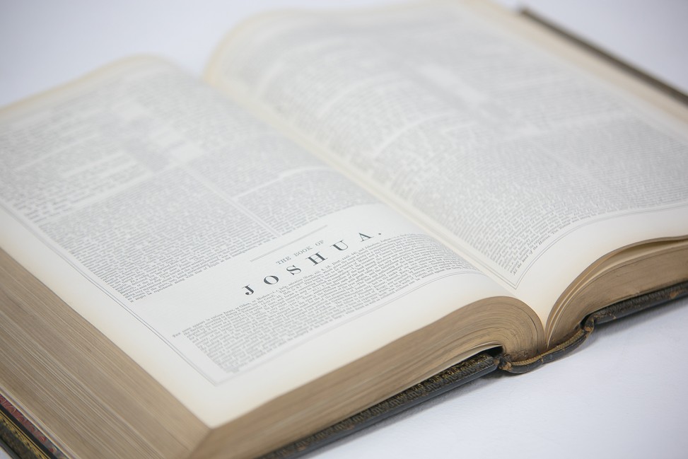 freely-10175-preview