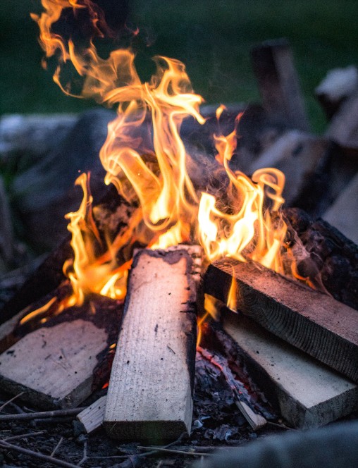 freely-10177-preview