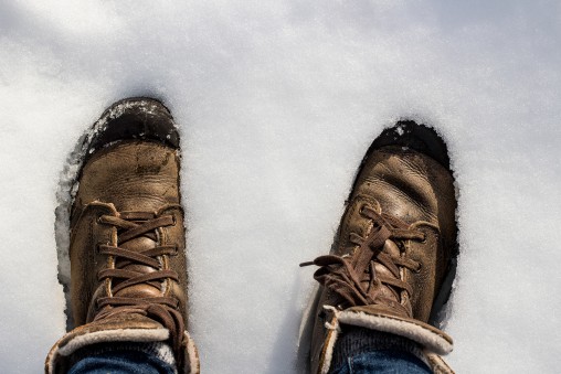 freely-10180-preview