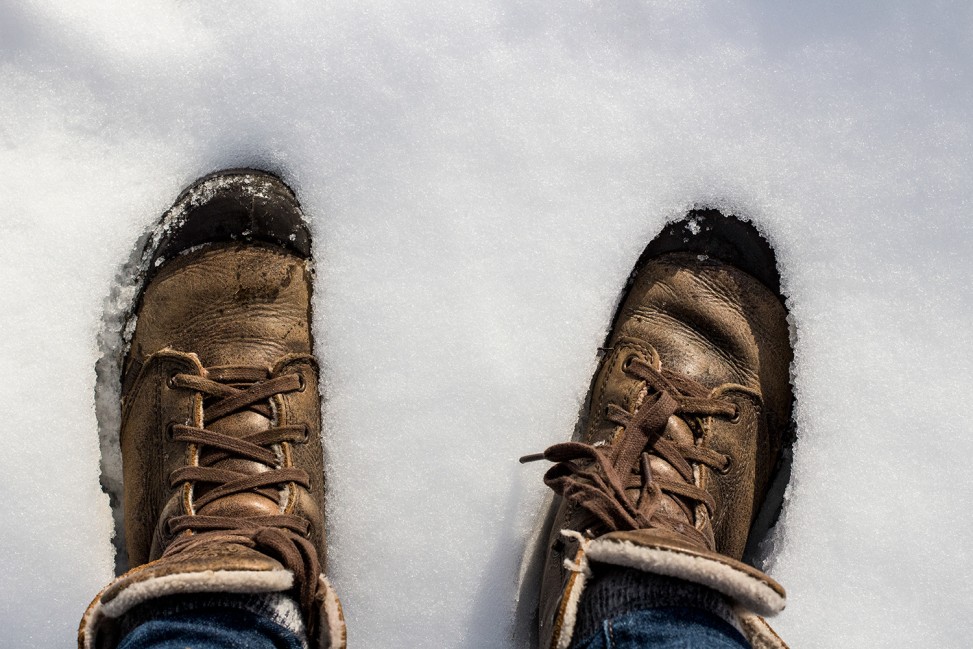 freely-10180-preview