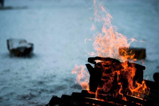 freely-10204-preview