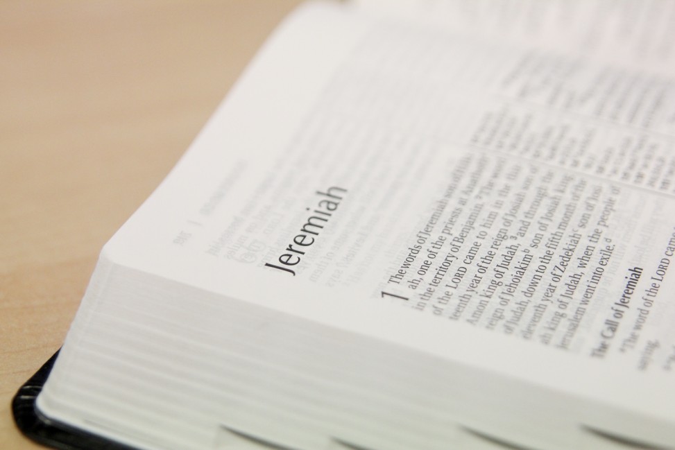 freely-10276-preview