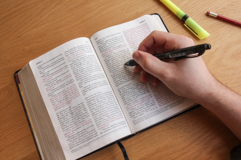 freely-10290-preview