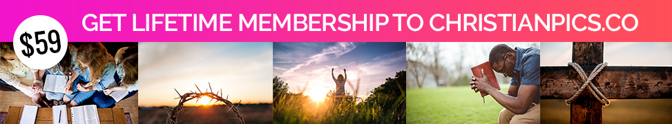 Use our exclusive code to get $20 off.  FREELY20